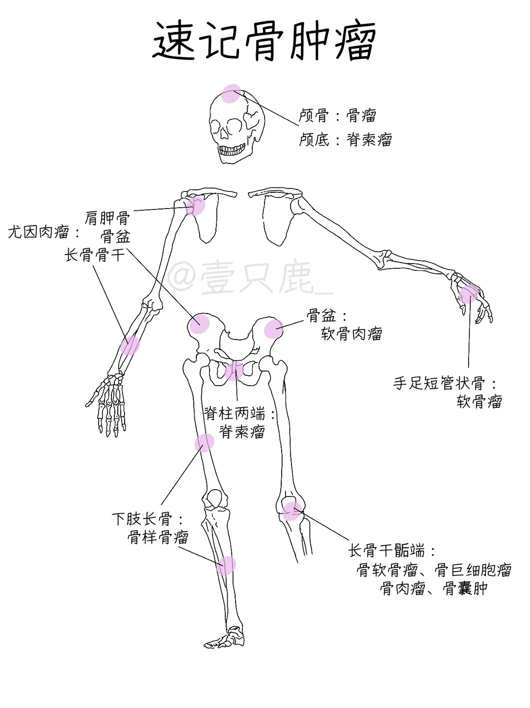 医学生笔记📝｜骨肿瘤