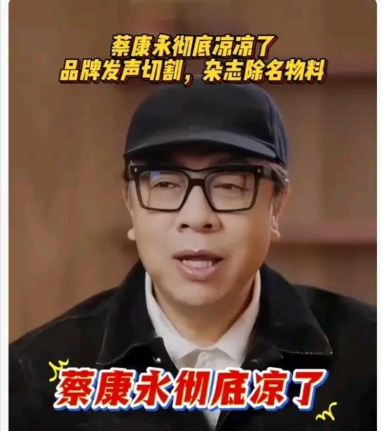 蔡康永公然为沈伯洋站台，零跑汽车下架与其合作的内容。
沈伯洋是啥人，他已经被国家