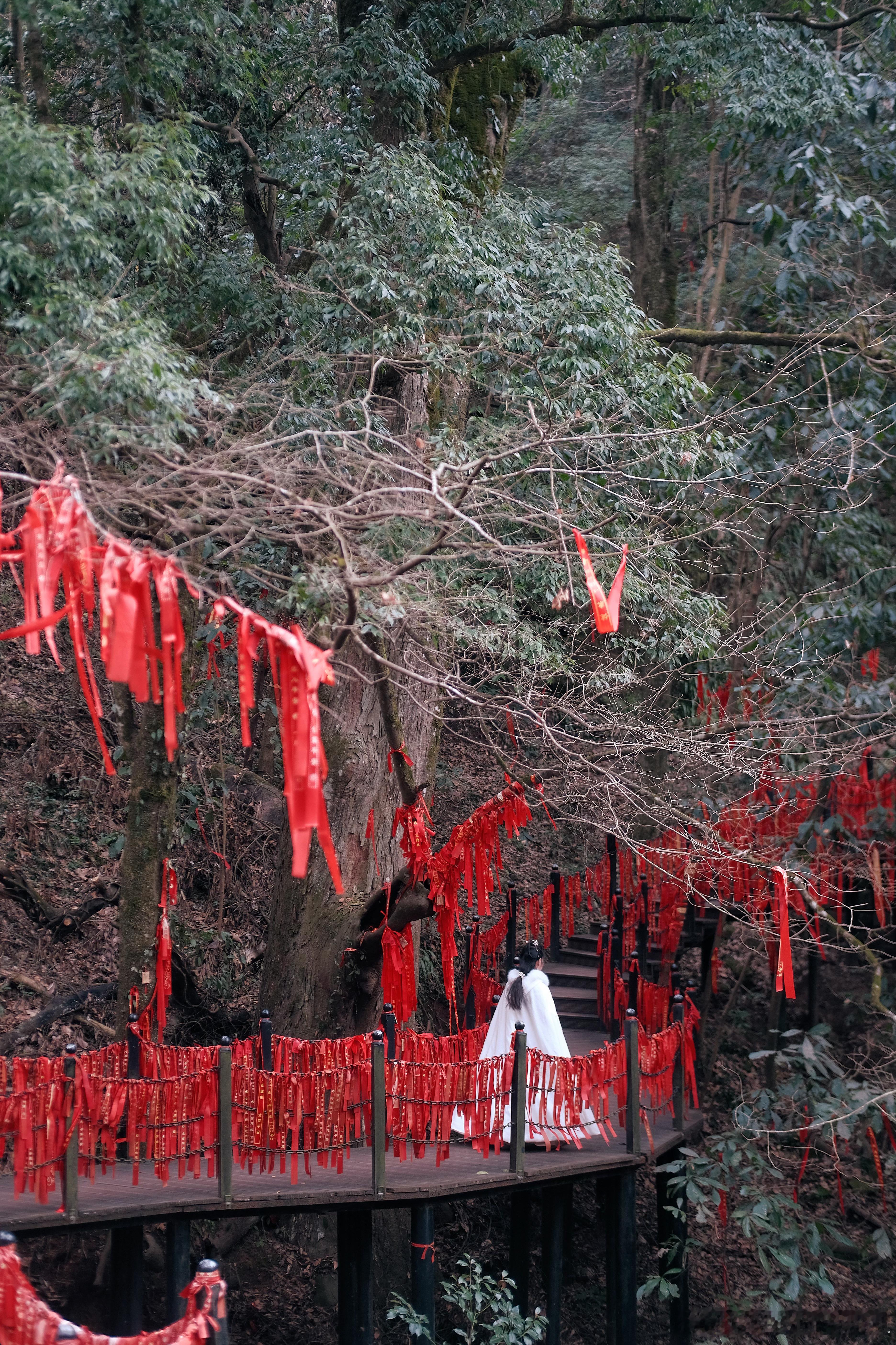 𝐓𝐫𝐚𝐯𝐞𝐥 / 总有人问我，安徽的小众宝藏旅行地除了黄山宏村，我想