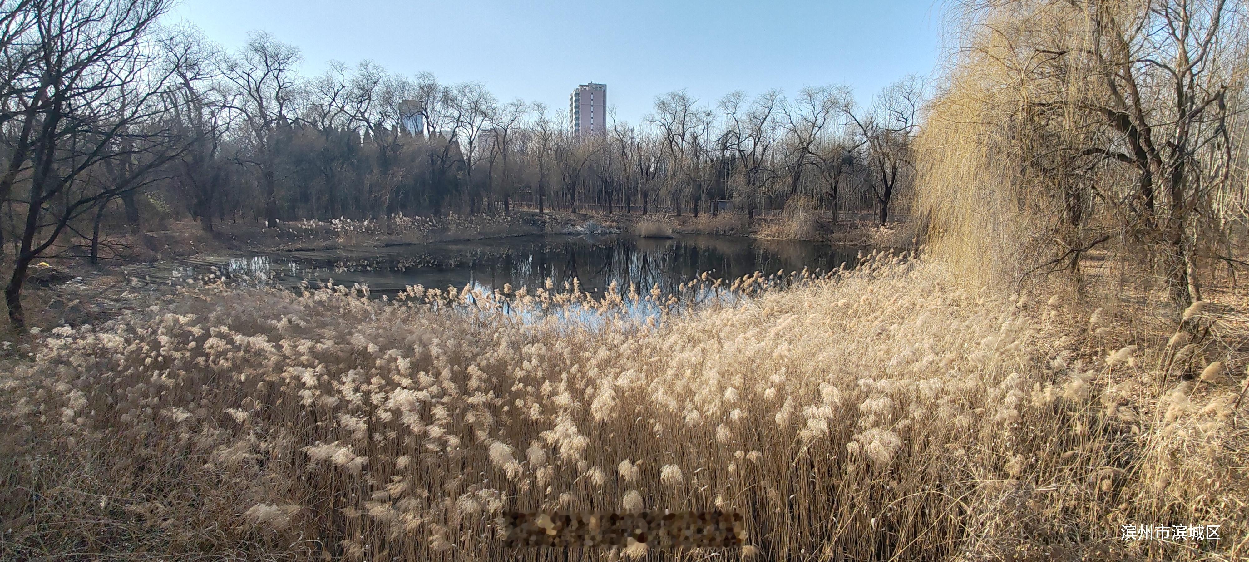 留言纸被弃垃圾桶寒了观众真心哈哈哈，楼层管理员挡枪……以前肯定就是这么搞的，这会