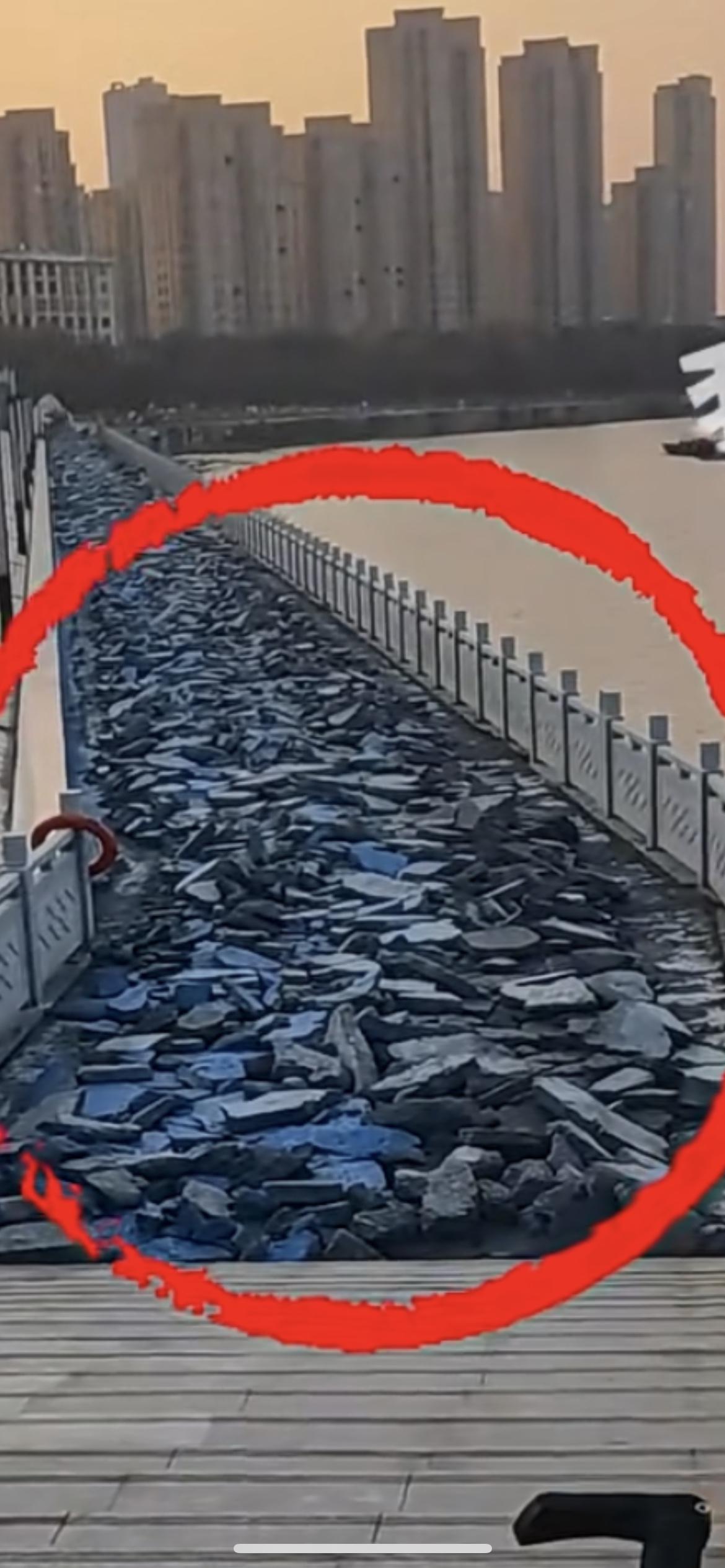 市民吐槽公园道路修好又挖掉 ，当地：工程不达标返工，成本施工方自担。12月3日，