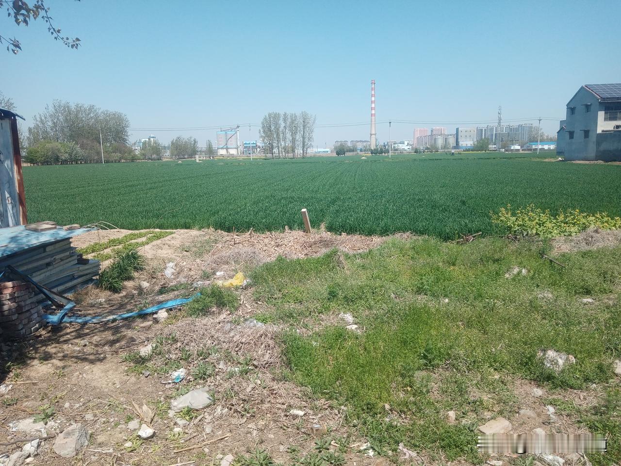 今日4月6日二月十九
别忘了接住丙午马年的第一波福运
无论你身在何处
都不要忘了