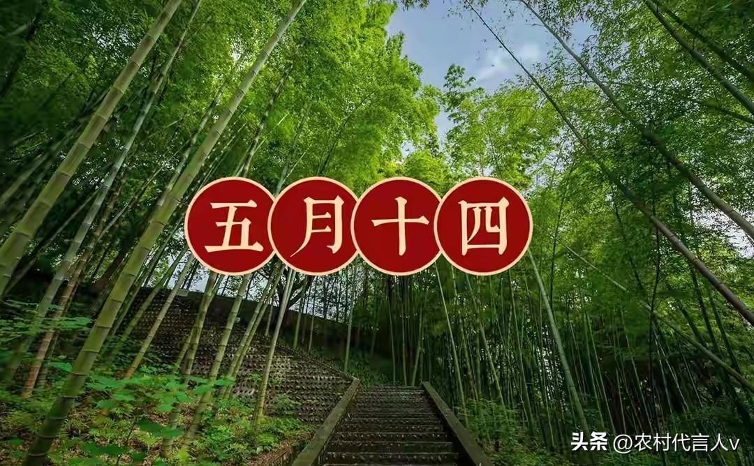 今日五月十四，提醒：1不做，2要早，3不去，4要吃，安康顺利度夏
 
农历五月十