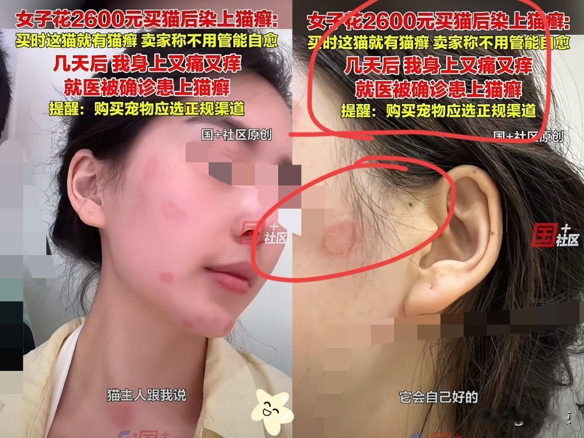 崩溃了！浙江嘉兴，女子有钱没地方花了，竟然花2600块钱买了一只猫当宠物，结果几