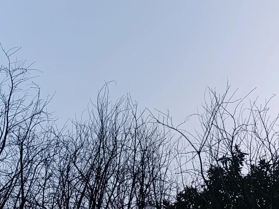 朋友上个月不知道哪根筋扭到，非要开户炒股。
他的理由很充足：天天听到保护投资者，