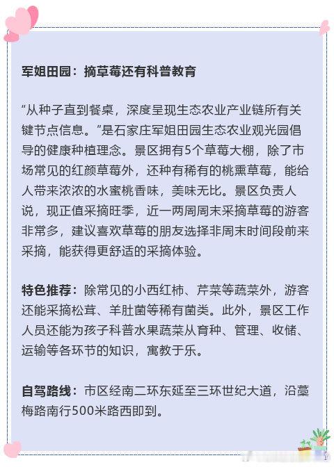 【石家庄周边草莓采摘地图新鲜出炉，周末约一场甜蜜之旅吧！】现在正是草莓成熟的季节