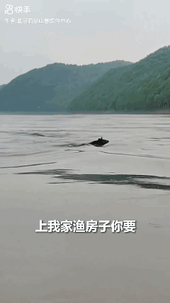 没护照偷渡过来的…[黑脸]
