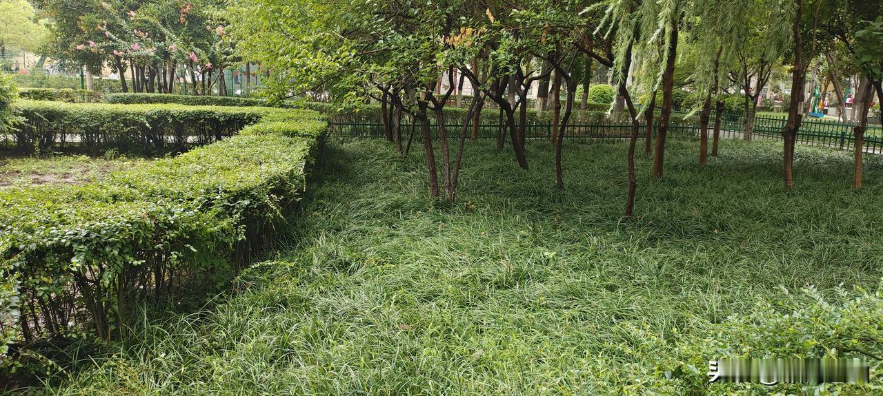 今天三刷《肖申克的救赎》，经典果然是经典，大有收获，归结如下:

1.只有足够的