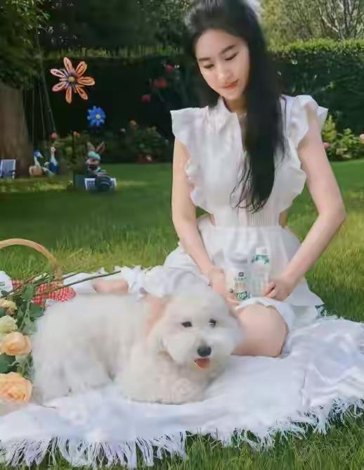 刘亦菲带着狗狗拍杂志封面，这氛围感真的太绝了吧，素颜也难挡美女气质。
神仙姐姐的