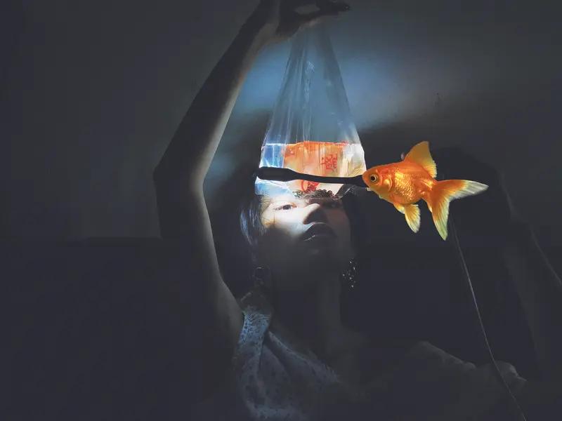 如今世界局势纷乱复杂，我们一定要提高警惕。同时，以此为教训。严查到底是哪方势力，