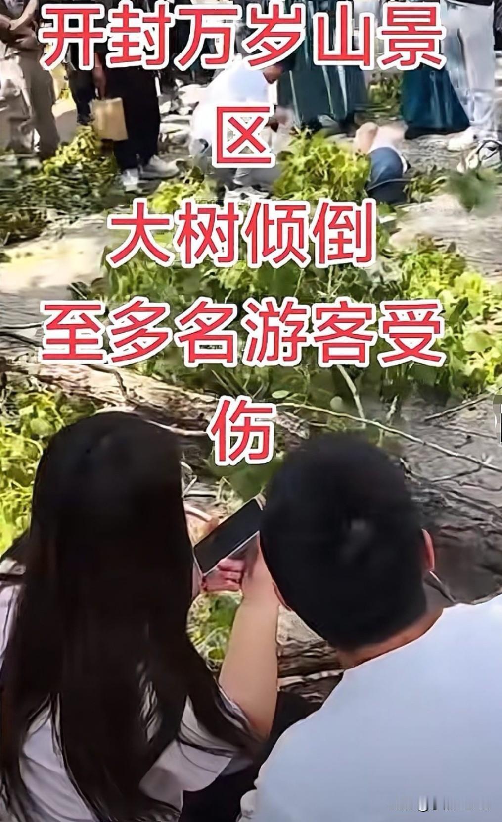 突发大风致树枝断裂，开封景区游客安全如何保障？
4月18日12时许，河南省开封市