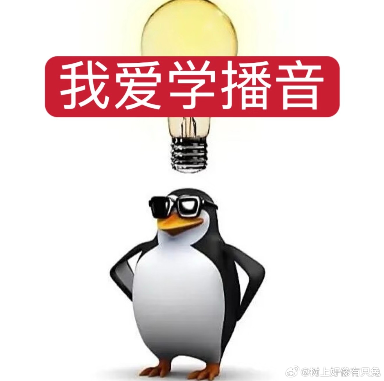 声音自带专属印记，语调节奏熟得不能再熟，哪怕隔着距离，也能从气息里读懂情绪，像老