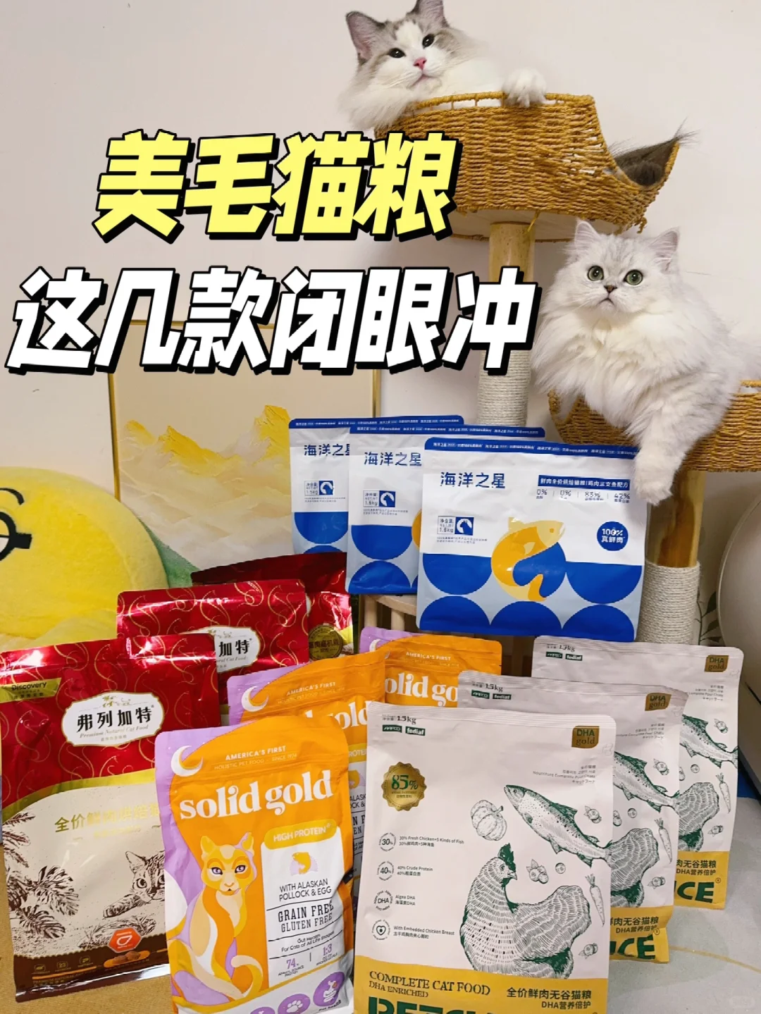 美毛粮怎么选？这几款闭眼冲～