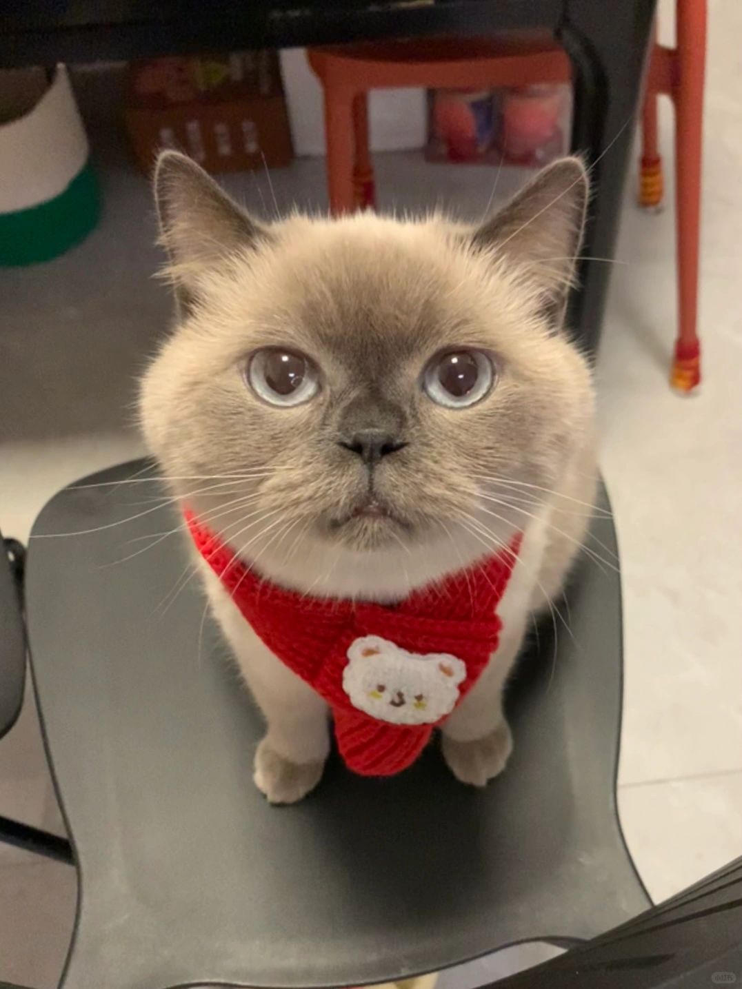 天老爷！我居然能生出这么可爱的！