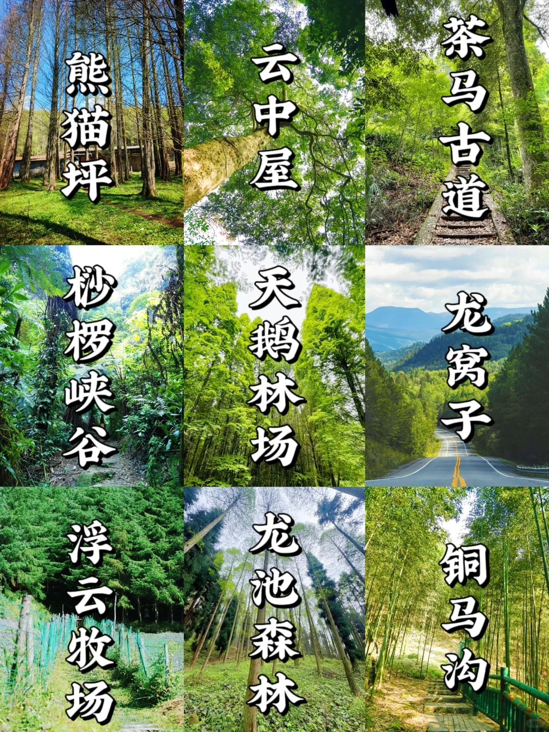 五一❗️徒步成都❗20条宝藏路线✅新人友好