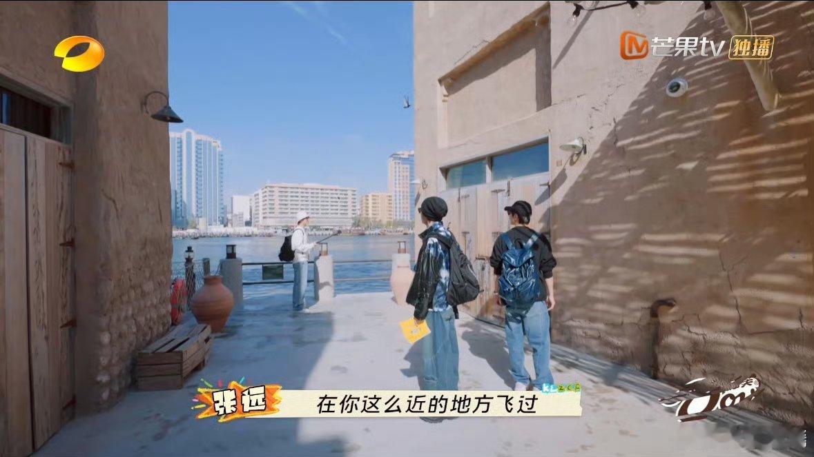 张远中国brid遇迪拜鸟  张远在迪拜的“另类”交友方式，与鸟儿打招呼的画面太可
