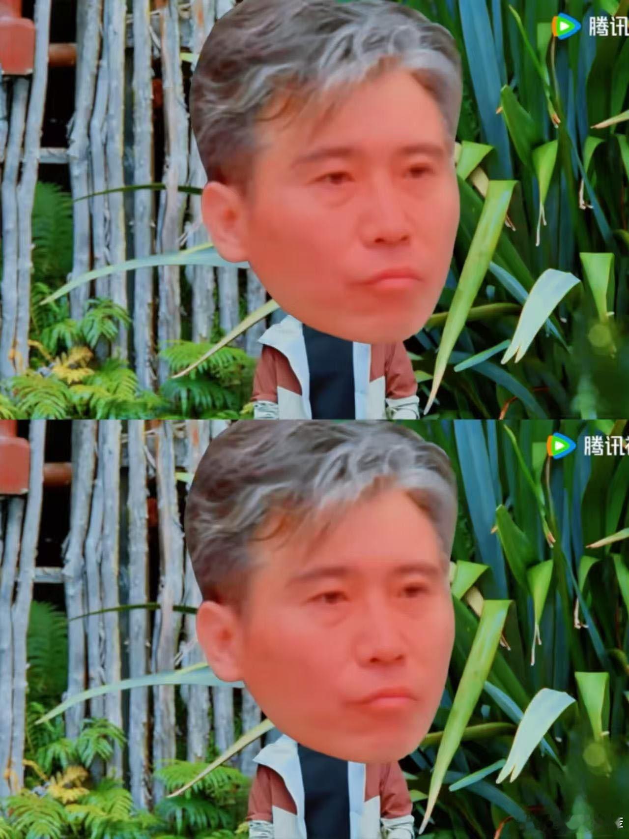李乃文死嘴憋住别笑笑就跟打哈欠一样，在节目地球超新鲜 里规定不让大家笑，越说不让