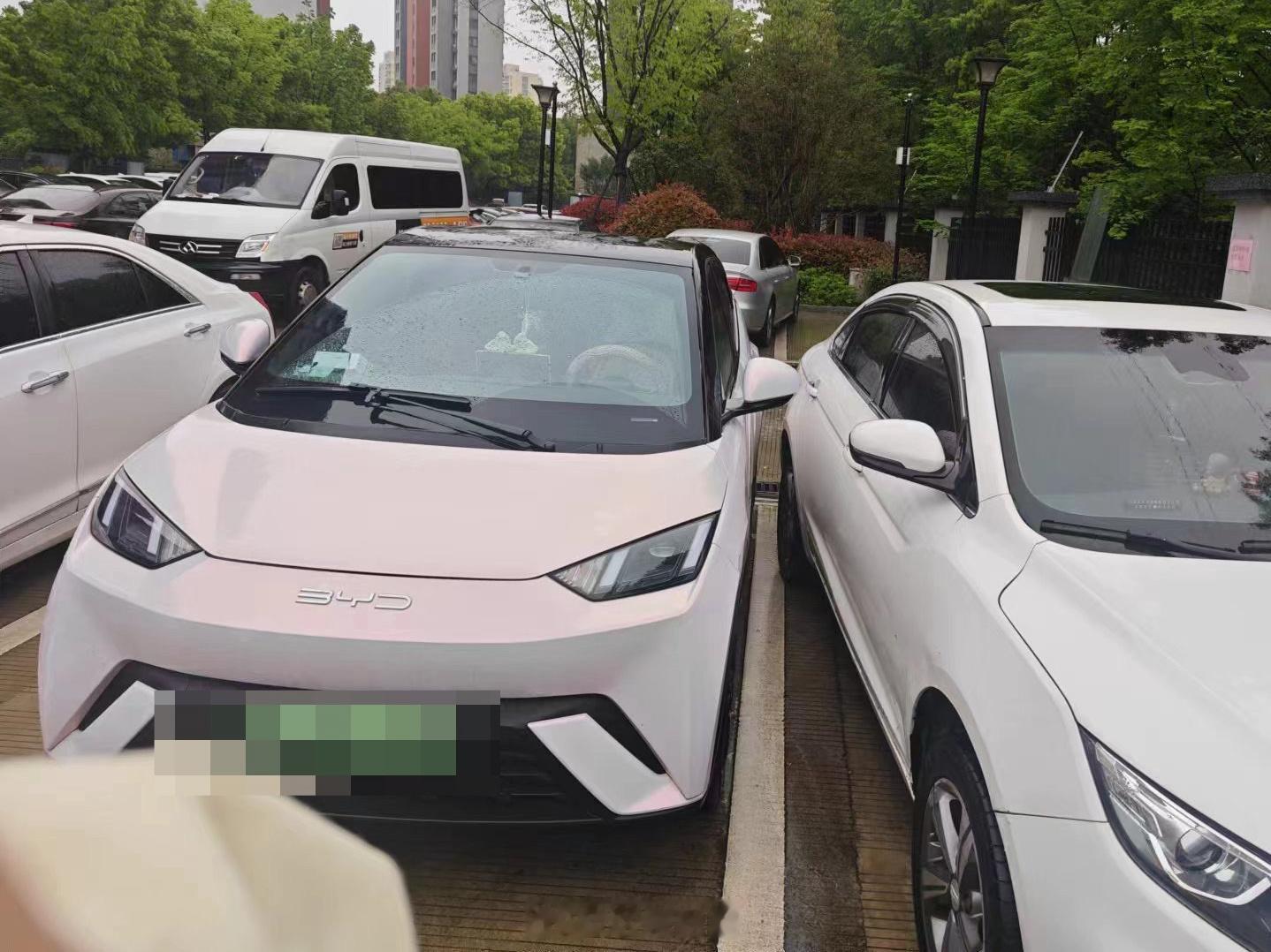 满打满算六万落地！朋友买了辆海鸥 香哇[喵喵]而且这价格还是带五千保险的。最离谱