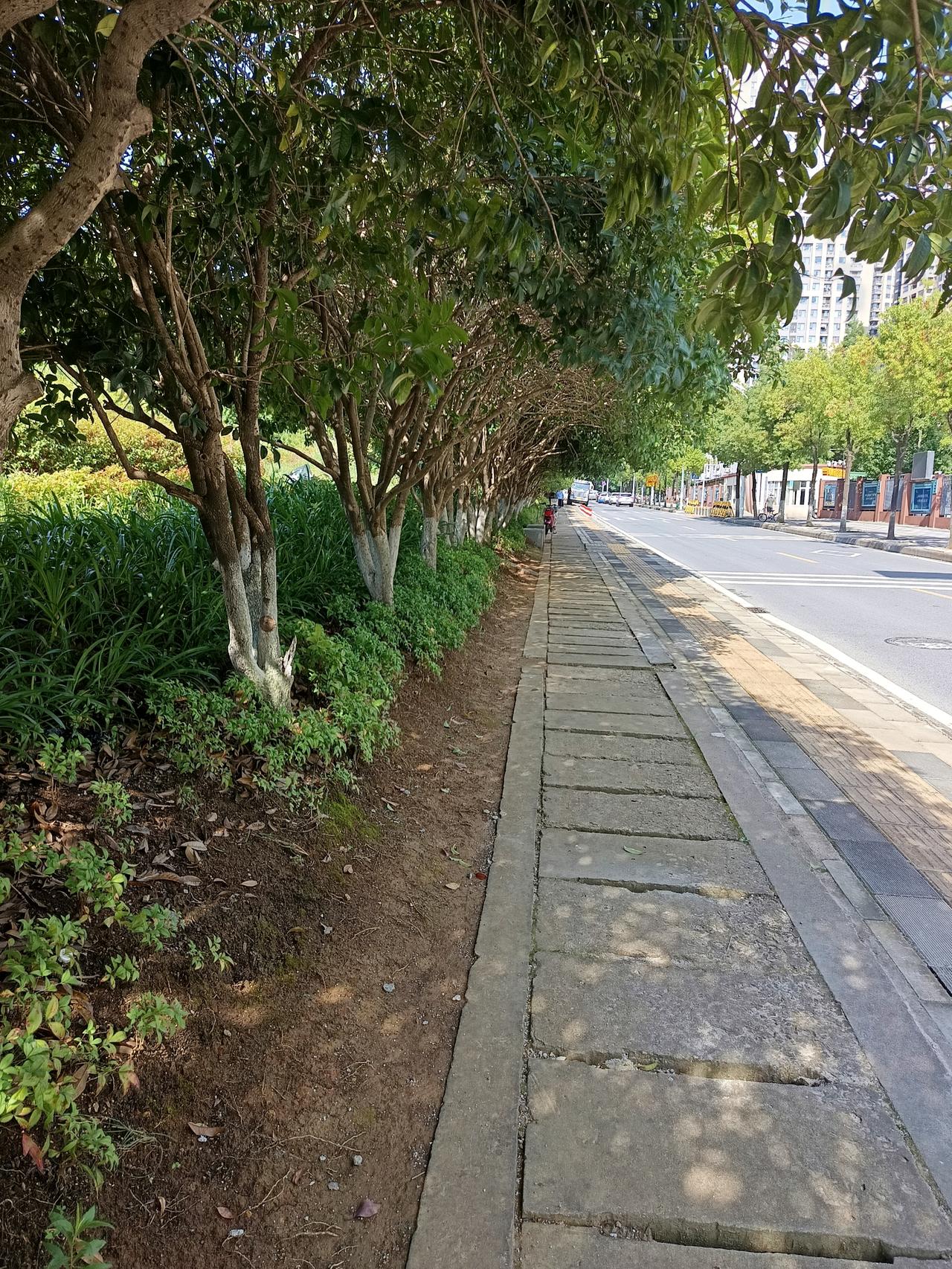 孙子和外孙无论小时候你对他们有多好，长大了都和你不亲。只和他爸妈亲，这是自然规律