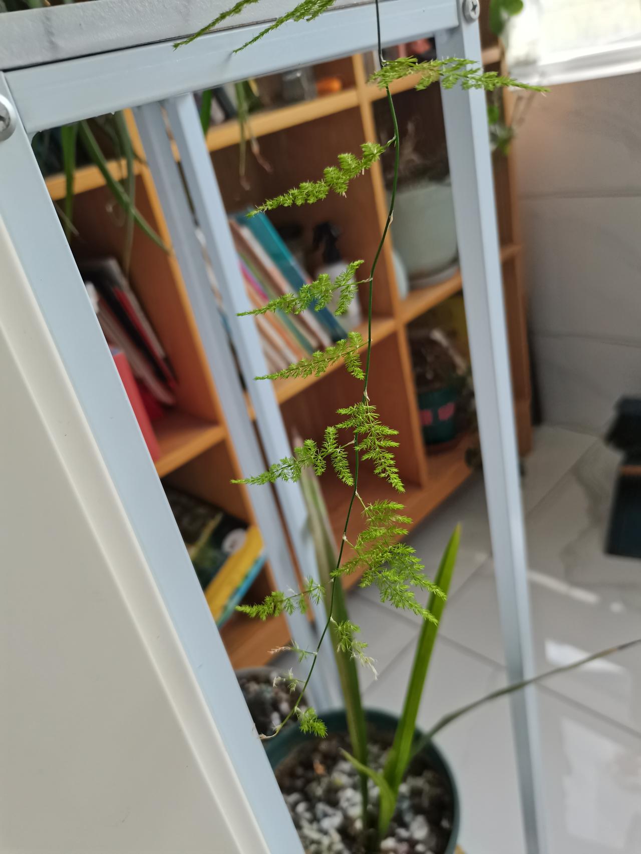 每一次从六安返杭，
第二天情绪必然破碎。
今天凌晨到小出租屋，
换床单被罩洗漱，