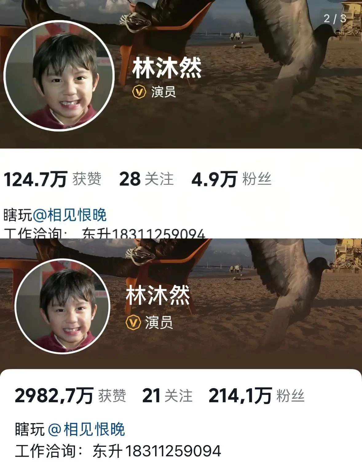 这哥三一直在涨粉 