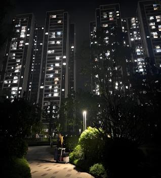 一位商业大亨说：
“你可以不结婚，但一定要有性伴侣。
孤阴不生，孤阳不长。
一个