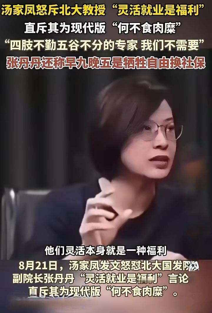 近日，北大张丹丹教授关于“灵活就业是福利”的言论引起网络强烈反应。本人就是一名灵