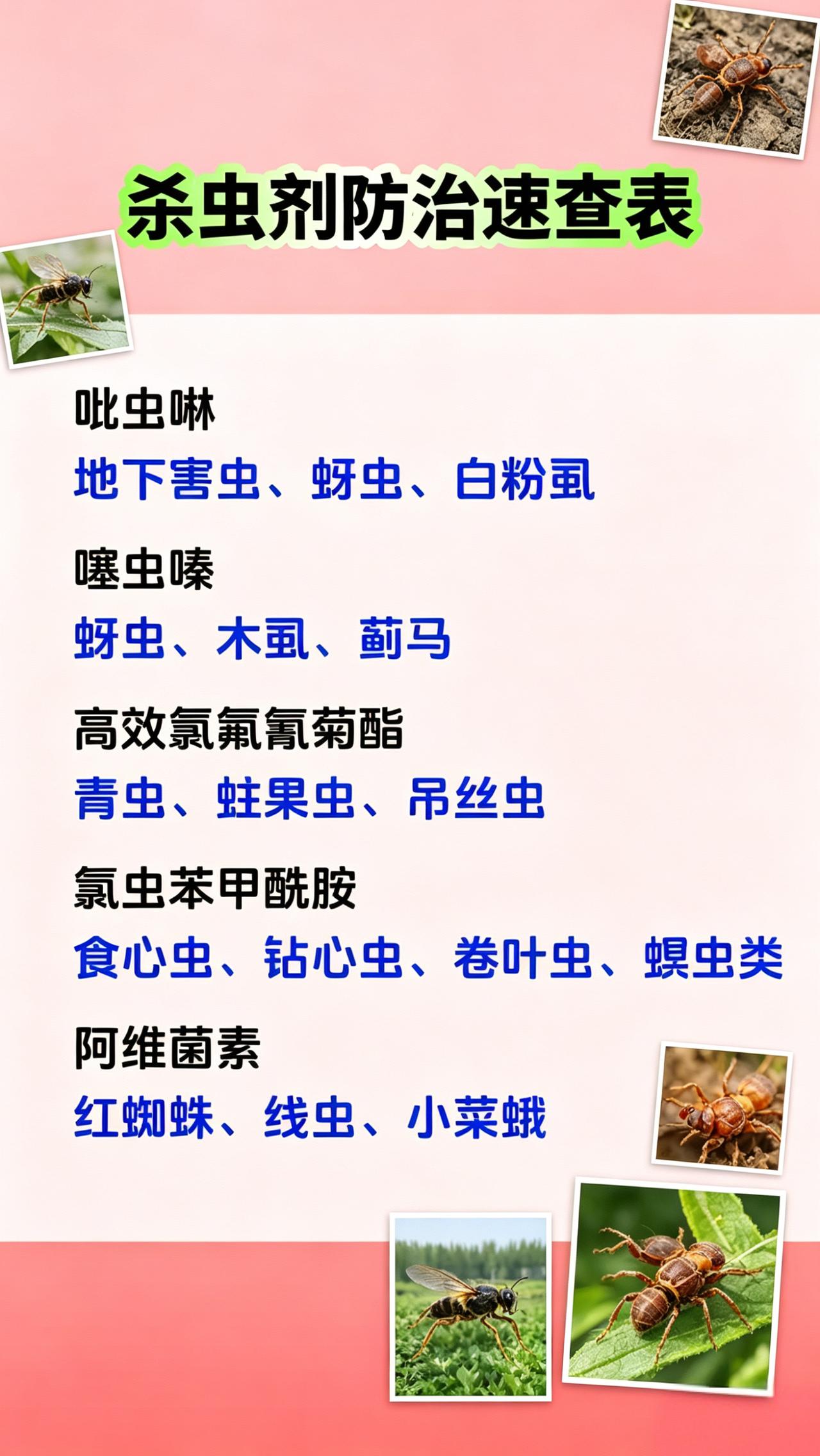 虫害防治 杀虫剂 噻虫嗪 氯虫苯甲酰胺