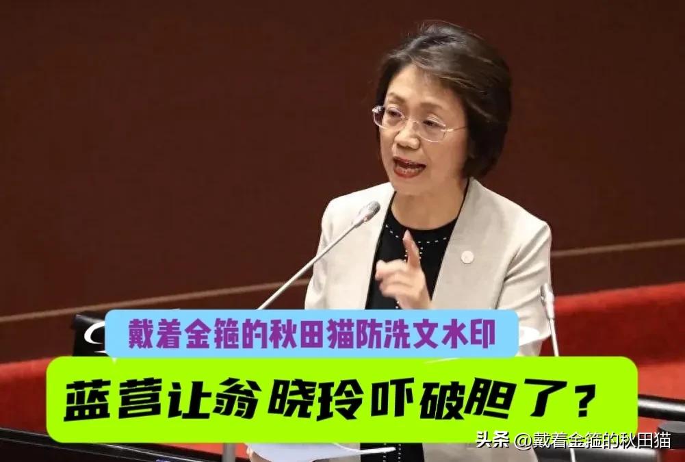蓝营被翁晓玲吓破胆了？
看场电影阿嬷的情书，翁晓玲也能被抹黑插队，她霸气回呛：来