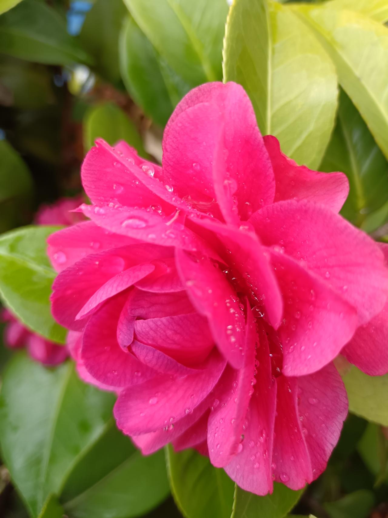 说做人,最重要的是什么?