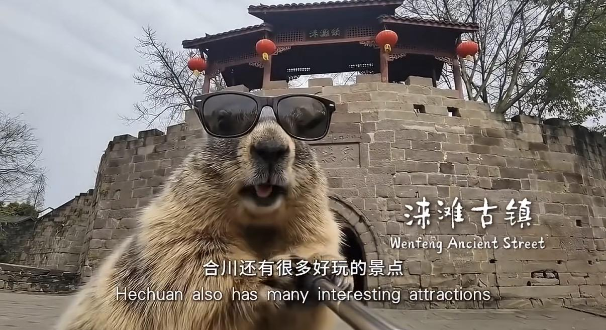 全球首个实时生成世界模型无限流AI真的来了 现在AI视频的玩法越来越多了…以前是