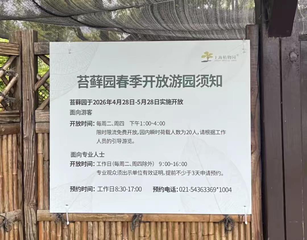 魔都超火的限定小秘境来啦！上海植物园苔藓园真的太出圈，一年仅开放30天，之前开放