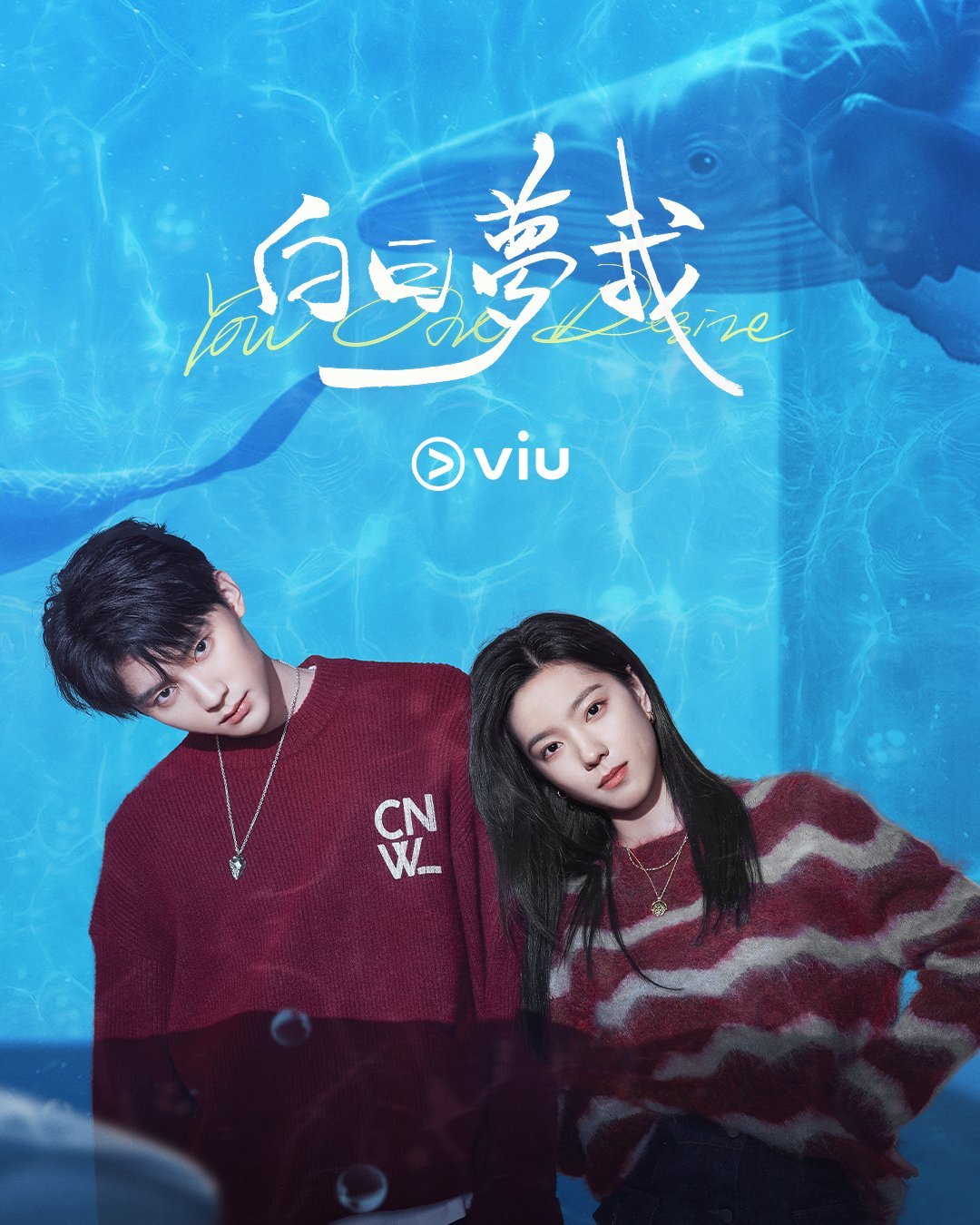 庄达菲周翊然《白日梦我》海外VIU平台菲律宾站上线开播电视剧白日梦我 庄达菲周翊