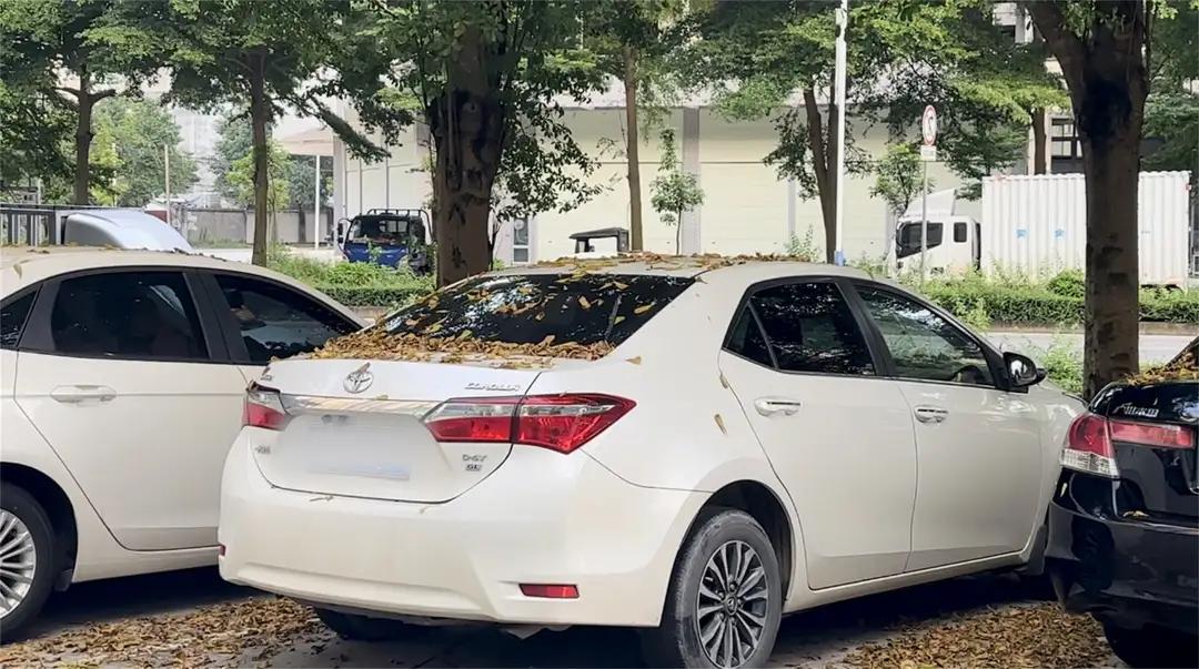 车上树脂高效清理方法，分场景轻松搞定
 
1. 车身漆面树脂（无固化）：用温水浸