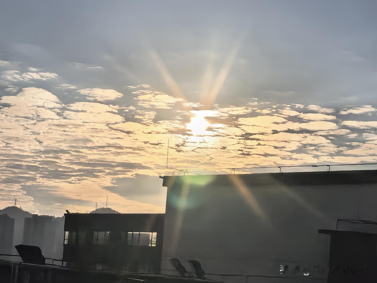 入秋了重庆离穿秋裤的时候还早呢，太阳依旧大，气温依然很高，大家注意防暑降温，小心