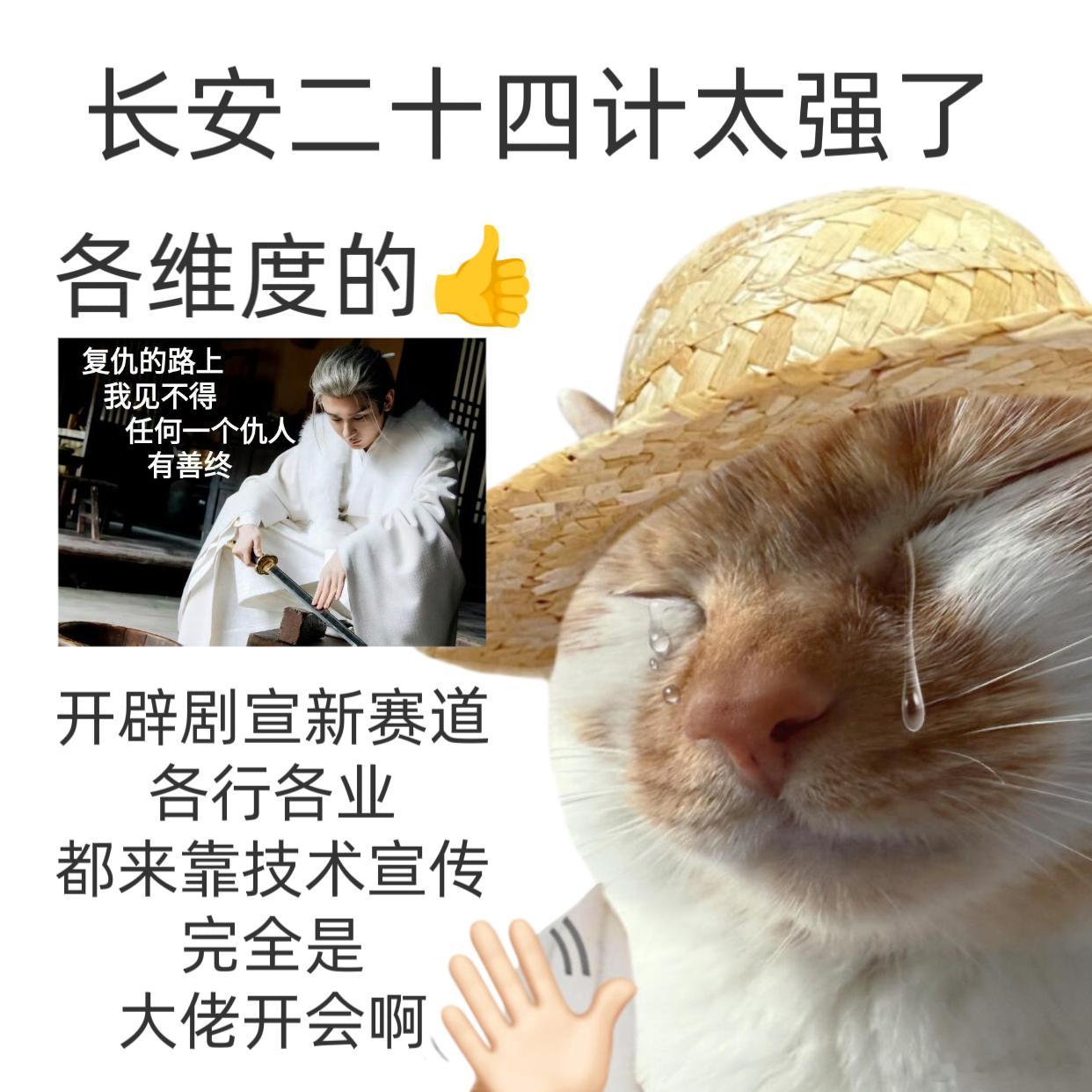 长安二十四计开辟剧宣新赛道长安二十四计谢淮安复仇台词封神！“该死的人一个都逃不掉