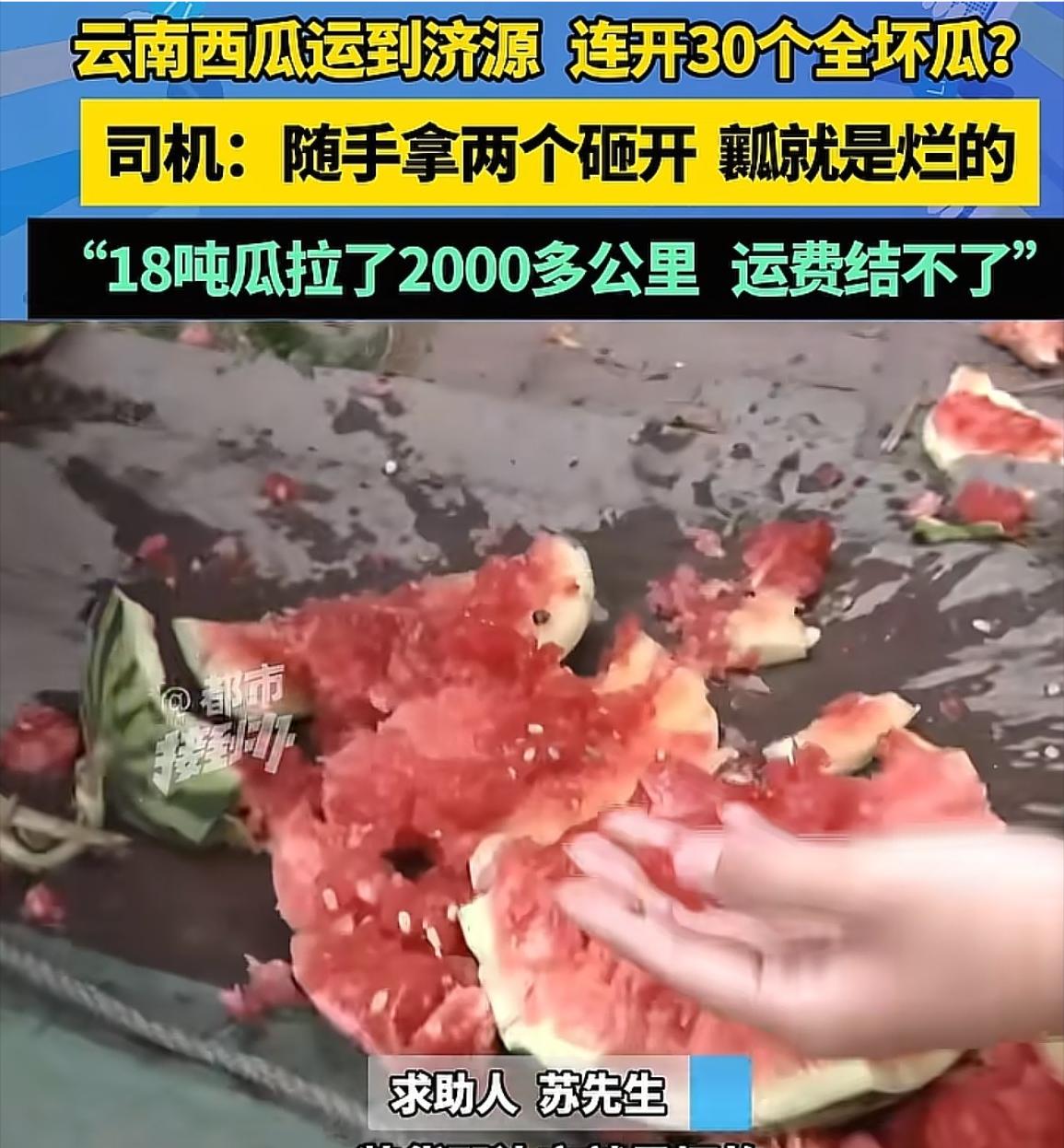 男子从云南运了18吨西瓜到济源，可收货方一检查，连开了30个瓜，外面都是好好的，