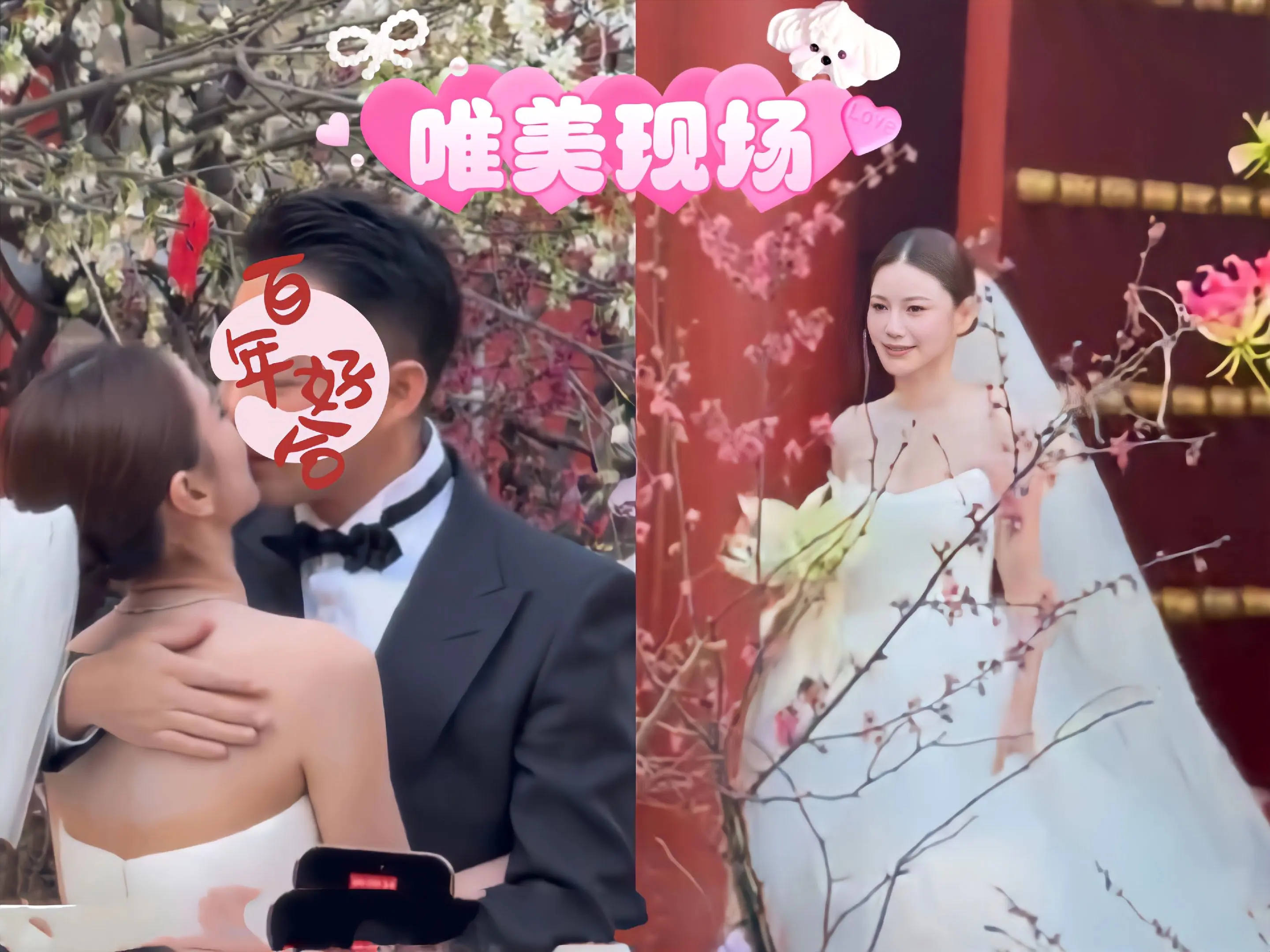 马筱梅婚礼唯美现场，小夫妻很甜呀。