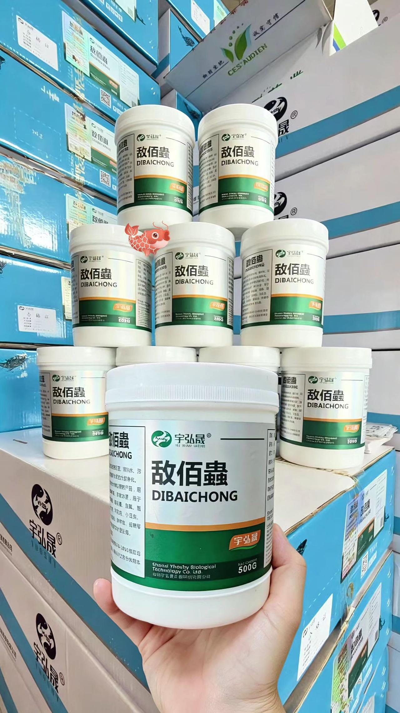 敌佰蟲 鱼塘养殖 鲢鱼 鲤鱼 草鱼