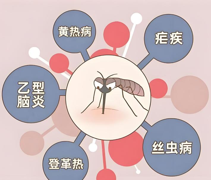 这回病毒不人传人，

为啥要隔离患者呢？


隔离病人不是怕人传人，
而是怕蚊子