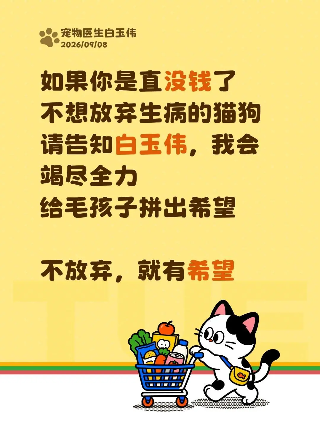 如果你是直没钱了 不想放弃生病的猫狗 请告知白玉伟，我会竭尽全力 给毛...
