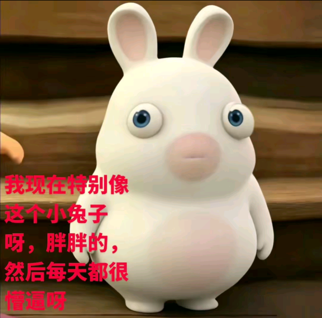我每天 