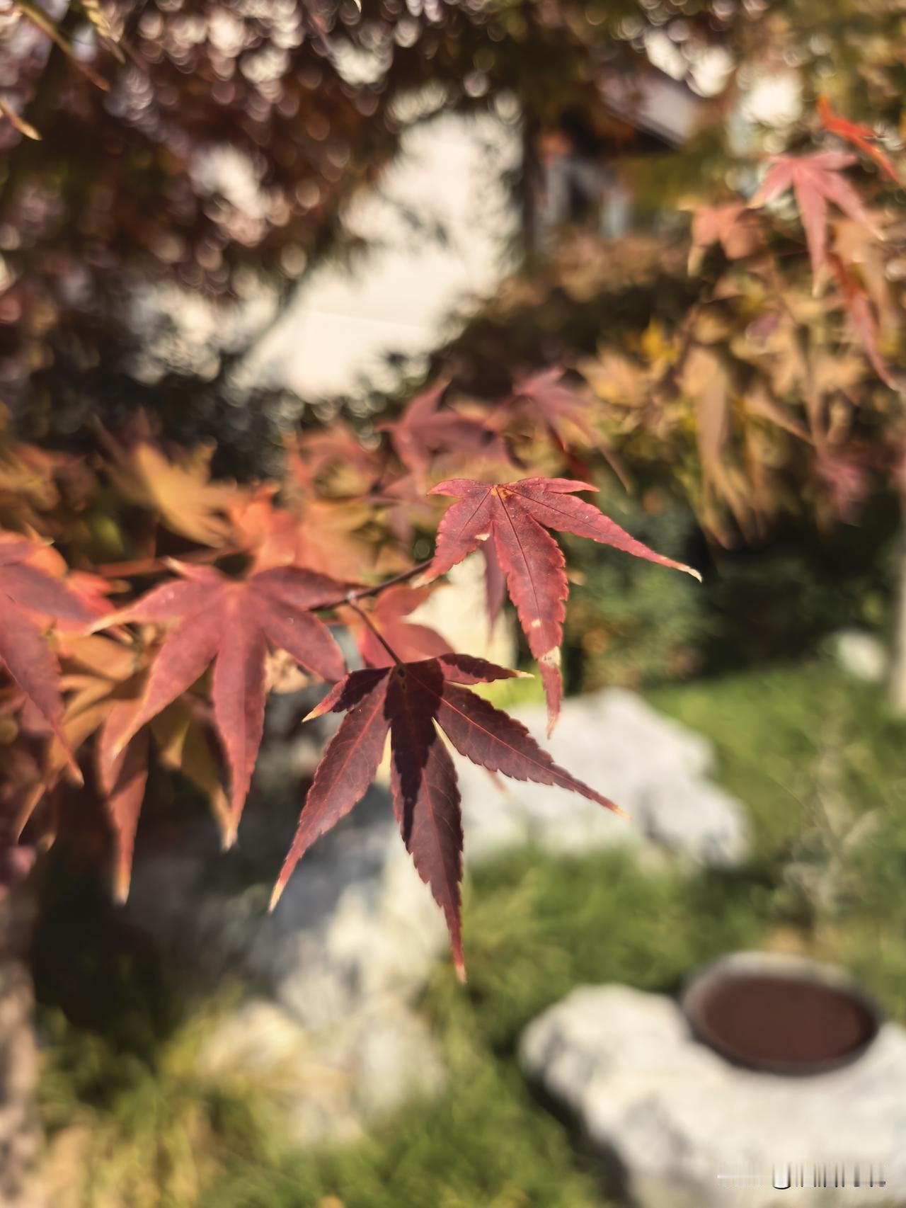 十五五”规划将推动酒店行业从规模扩张转向质量提升。政策层面，地方差异化扶持与绿色