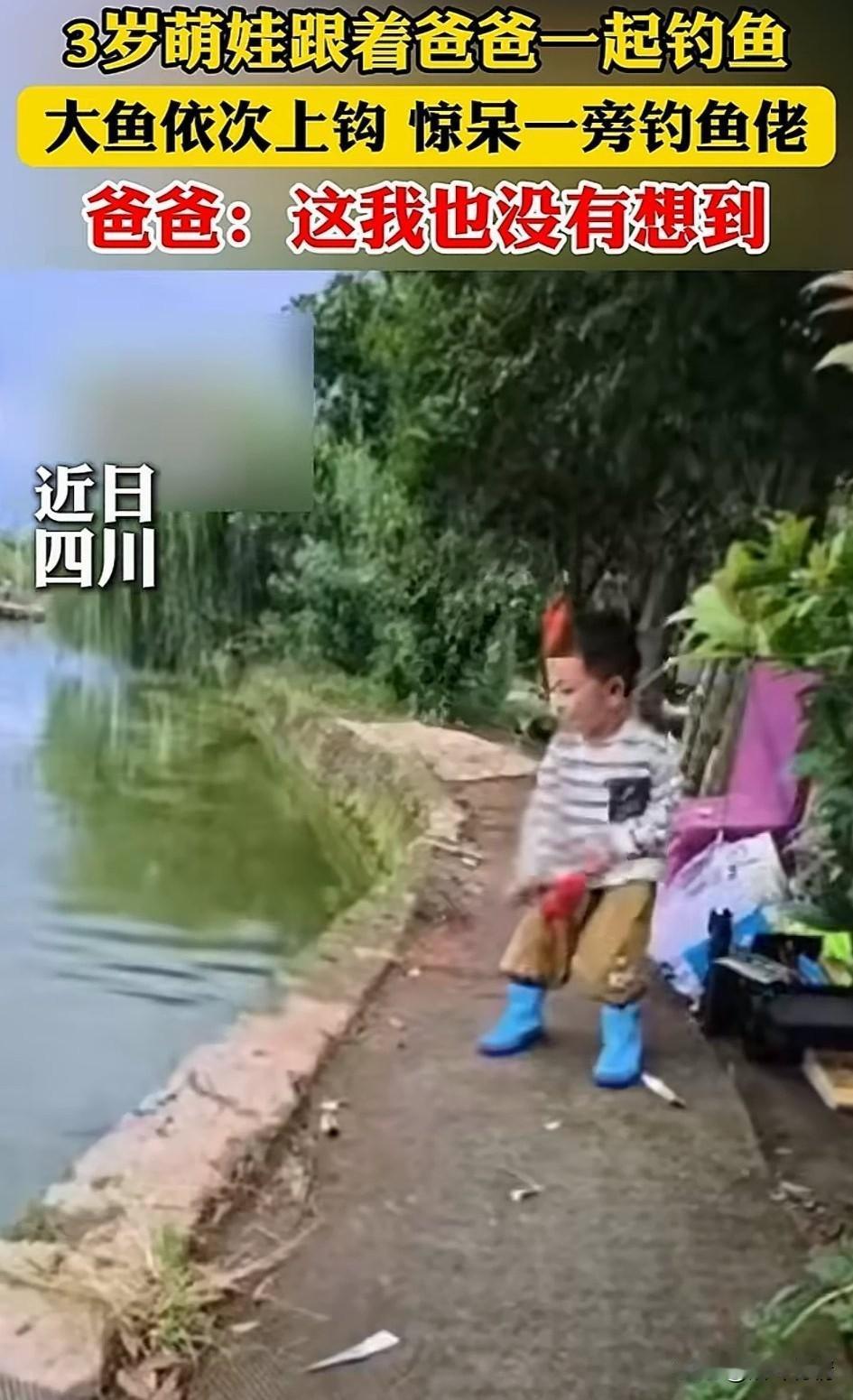 3岁萌娃绝对是钓鱼圣体，
钓鱼佬都不好意思在他旁边钓鱼了，
小朋友本来跟着爸爸钓