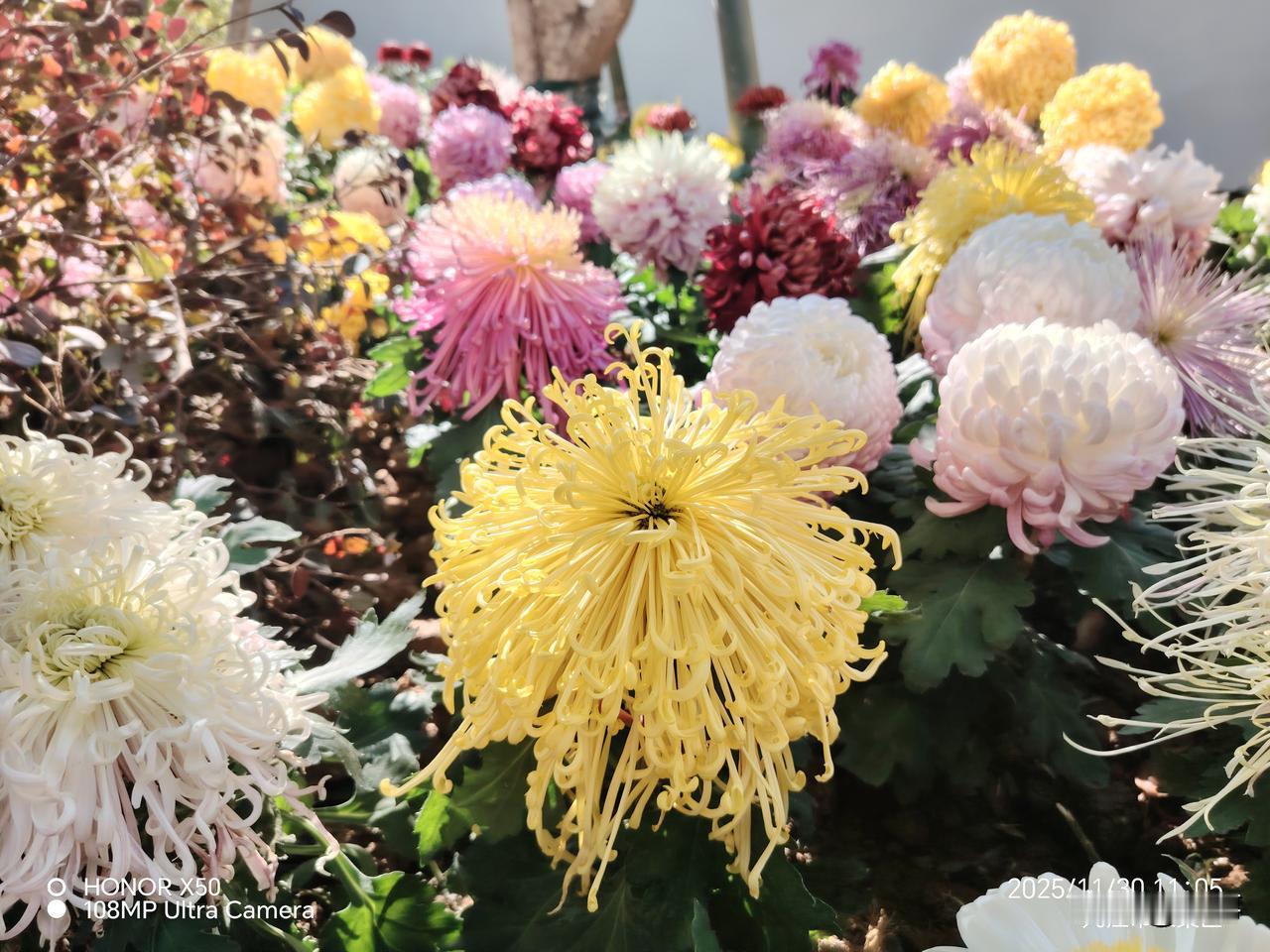 给2026的自己写句话2026年身体健康，心情愉悦，事事如意，幸福久久，快乐久久