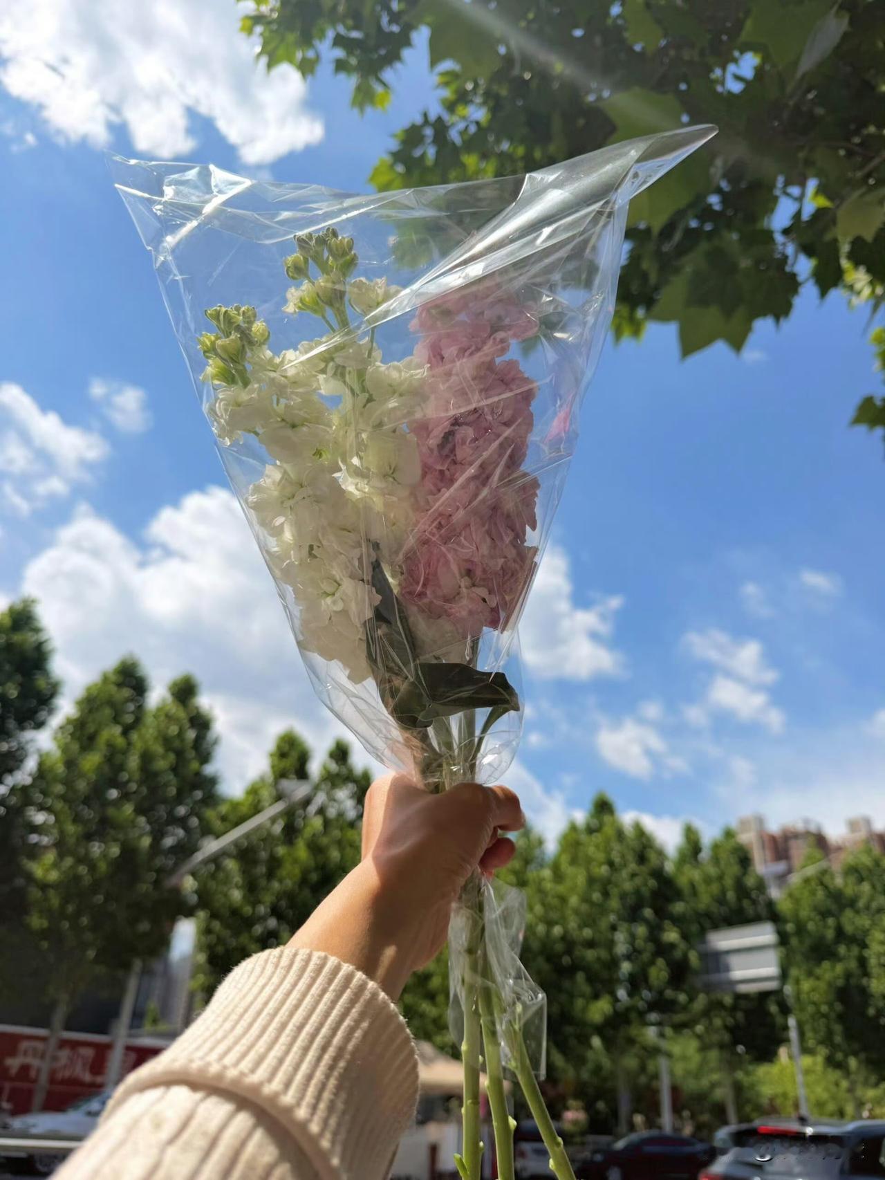 [彩虹][微风][太阳]
时光沉淀下来的，
不只是年龄，
更是内心的从容。

不