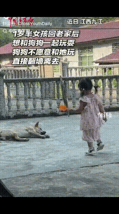 “万万没想到！”江西九江，一岁半女孩回老家，看见院中熟睡的狗子，就跑过去想和狗子