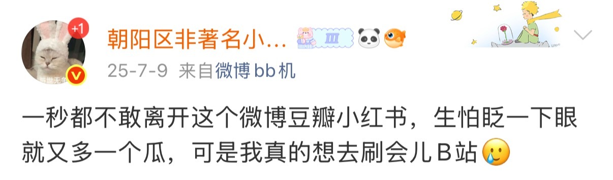 “把各个平台刷遍了还是忍不住感慨24雷朋太配了！” 