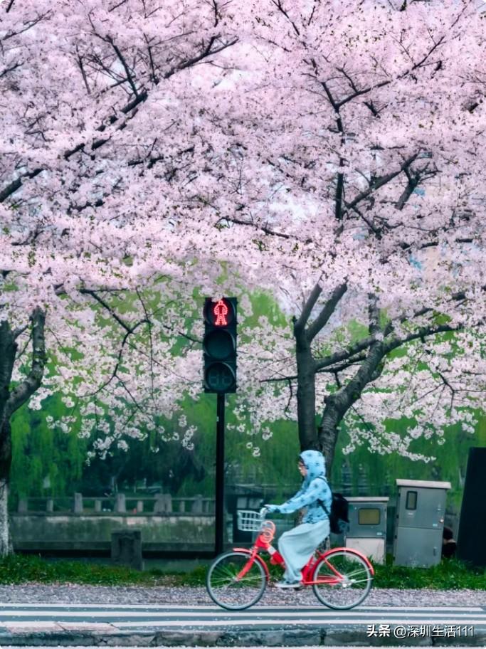 今天一位已婚女同事，跟我们聊了一件很有意思的事。

这位女同事性格外向，活泼开朗