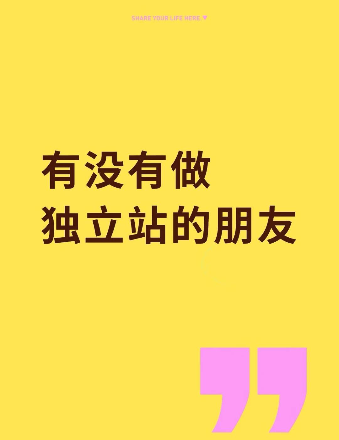 独立站